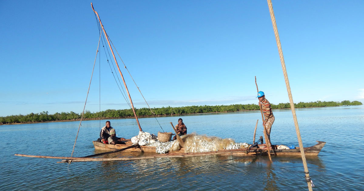 Adaptation aux changements climatiques